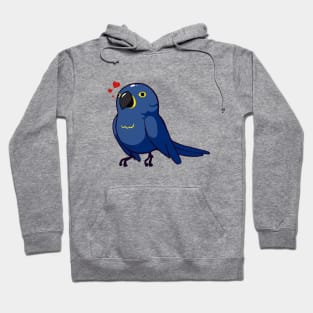 Macaw 3 Hoodie